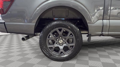 2026 Ford F150 STX STX®