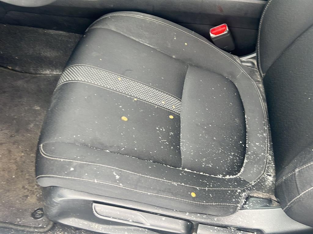 2019 Honda Civic Sedan LX